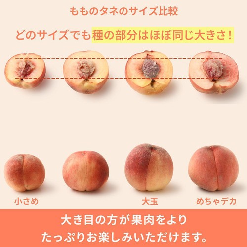 [食べごろ+] 長野県産 もも(あかつき) 3個入 630g