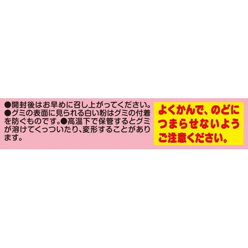 バンダイ CANMAKE TOKYO ミニチュアチャーム&グミ 26g