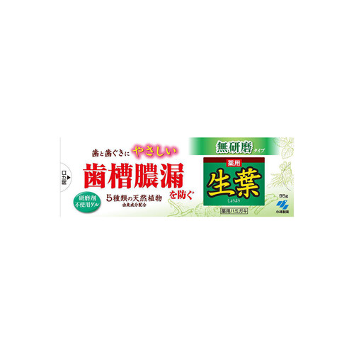 小林製薬 生葉 無研磨タイプ 95g