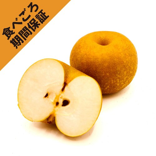 ［食べごろ+］長野県産 小林さんたちの豊水梨 大玉 2個 640g