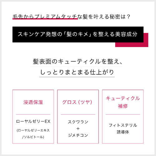 ファイントゥディ フィーノプレミアムタッチ 浸透美容液ヘアマスク つめかえ用 700g