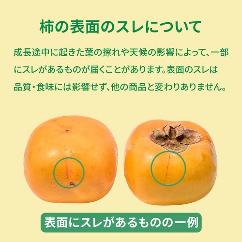 [食べごろ+] 和歌山県 果肉しっかりたねなし柿(かため) 4個