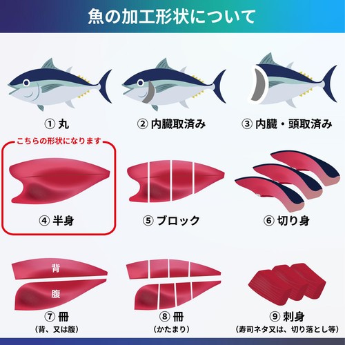 【冷凍】 灰干骨取縞ほっけ 1枚