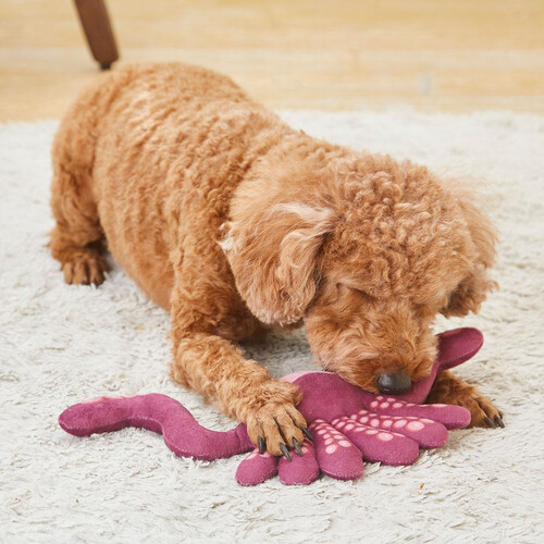 【ペット用】 ペティオ ソフトでバリバリ かみぐるみ たこ足 超小型犬〜中型犬用 1個