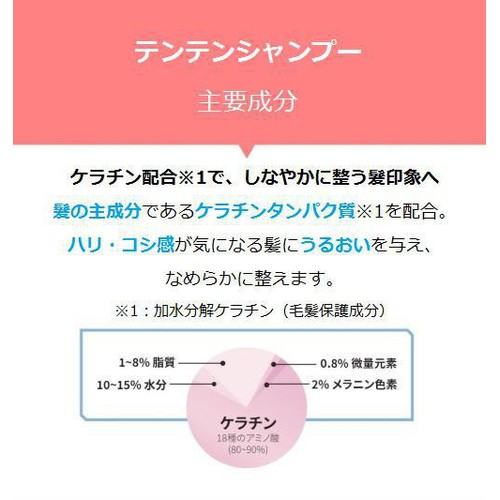 FIT YOUR SKIN テンテンシャンプー 500ml