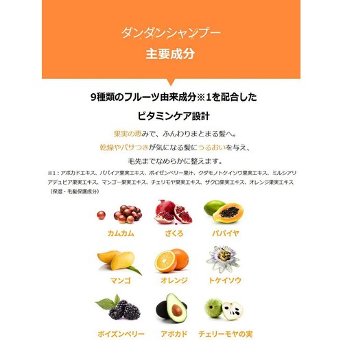 FIT YOUR SKIN ダンダンシャンプー 500ml