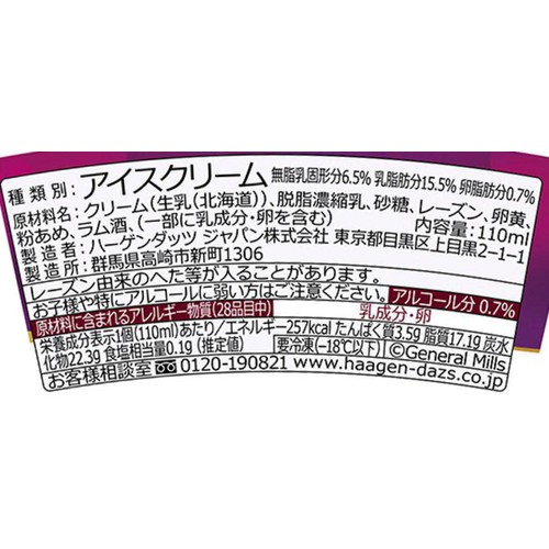 ハーゲンダッツ ミニカップ ラムレーズン 110ml