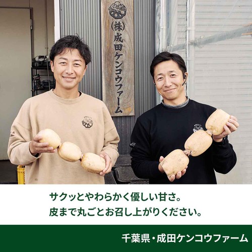 ［鮮度+］【有機】千葉県産 成田ケンコウファーム 成福れんこん 300g 1パック