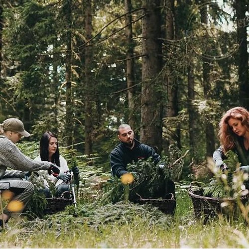 40%/ドイツ産】 ニードル 黒い森のロゼ ジン 500ml Green Beans