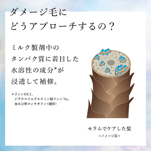 ファイントゥディ プラストゥモロー オーバーナイト ヘアセラム 80mL