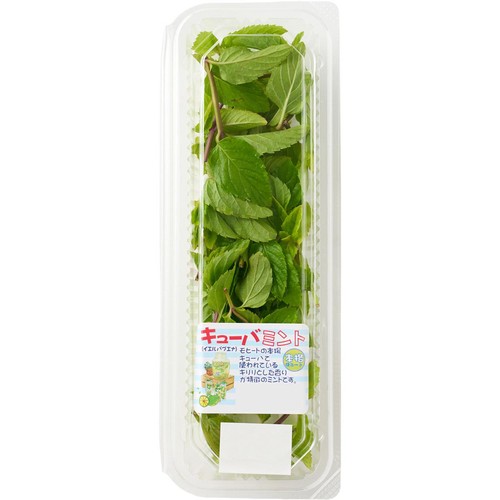 国内産 キューバミント 10g