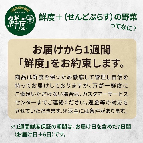 ［鮮度+］栃木県産 キャベツ 1個
