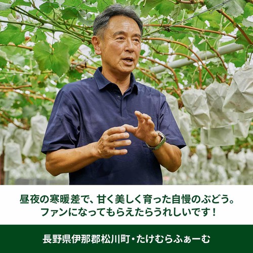［食べごろ+］長野県産 たけむらふぁーむのナガノパープル 250g