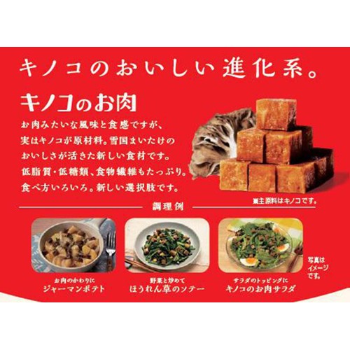 ユキグニファクトリー キノコのお肉 50g