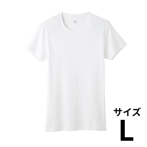 グンゼ YG 紳士 ピュアコットンクルーネックTシャツ L ホワイト