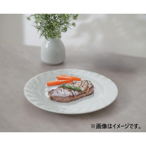 キャロル 23cm皿 美濃焼 ホワイト