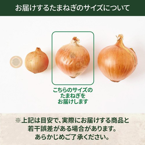 【有機】北海道産 たまねぎ 1.2kg(5-10個)