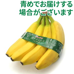 【有機】メキシコ産ファーマインド オーガニックバナナ 6-10本 1.3kg