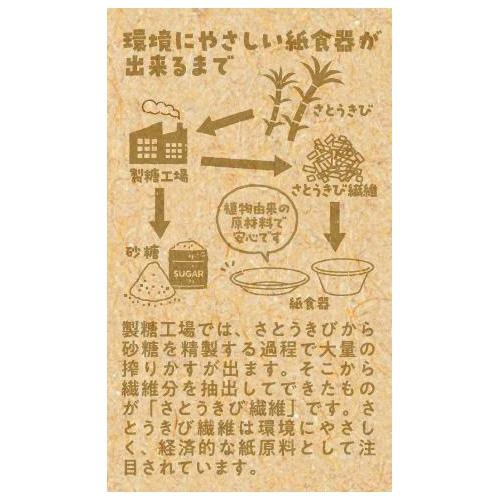 サンナップ さとうきびのお皿 仕切り付き大 約26 x 21cm 3枚入