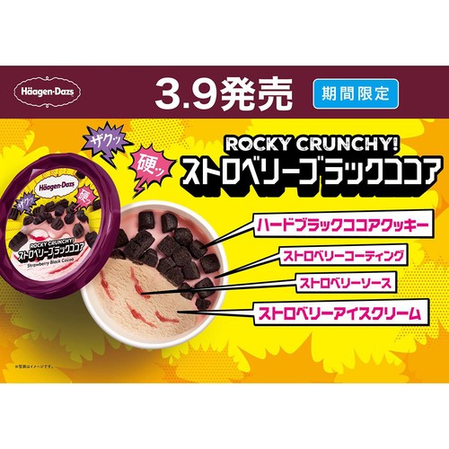 ハーゲンダッツ ロッキークランチーーー! ストロベリーブラックココア 88ml