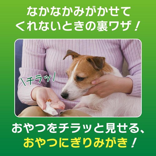 【ペット用】 ライオン PETKISS 歯みがきシート 無香料 犬・猫用 30枚