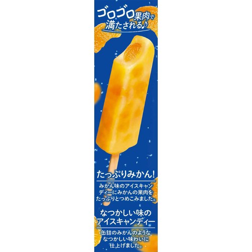 赤城乳業 ガツン、とみかん 58ml x 5本入