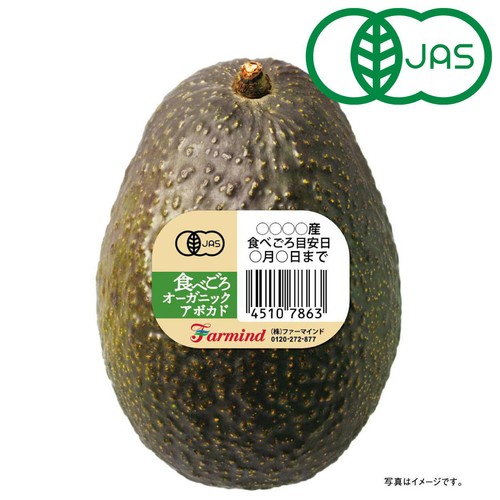 【有機】輸入 ファーマインド 食べごろアボカド(冷蔵庫保管) 190g 1個