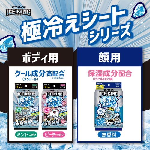 白元アース アイスノン ICE KING 極冷えボディシート ミントの香り 30
