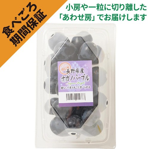 ［食べごろ+］長野県産 たけむらふぁーむのナガノパープル 250g