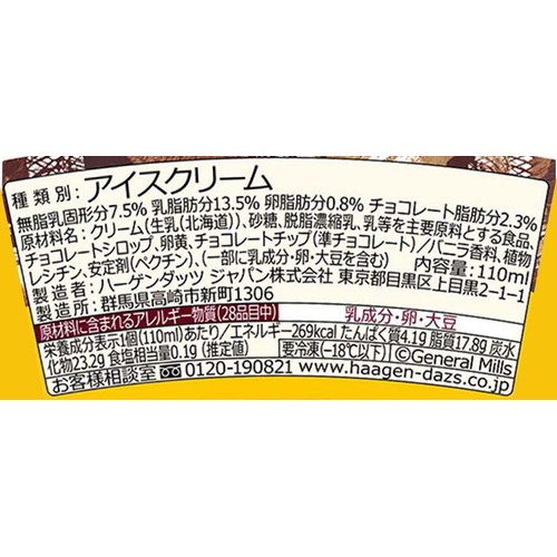 ハーゲンダッツ ミニカップ バニラチョコレートサンデー 110ml