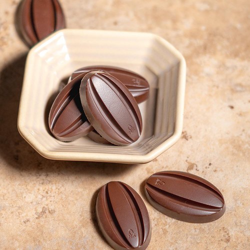 日新化工 オーガニックチョコレートミルク 60g