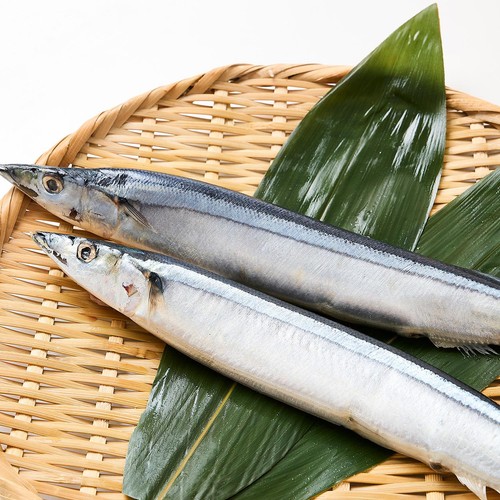 【冷凍】北海道産 冷凍さんま 210g(2尾)