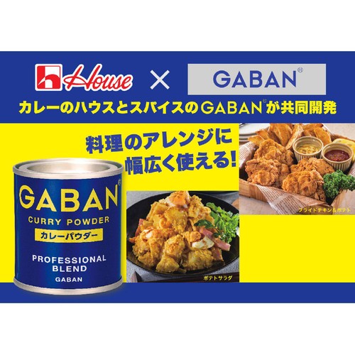 GABAN カレーパウダー缶 35g