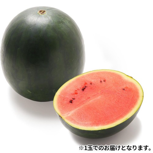 国内産 黒小玉すいか 1.4kg 1玉