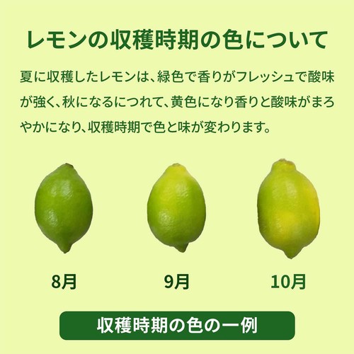 高知県産 グリーンレモン 2個 160g トップバリュ