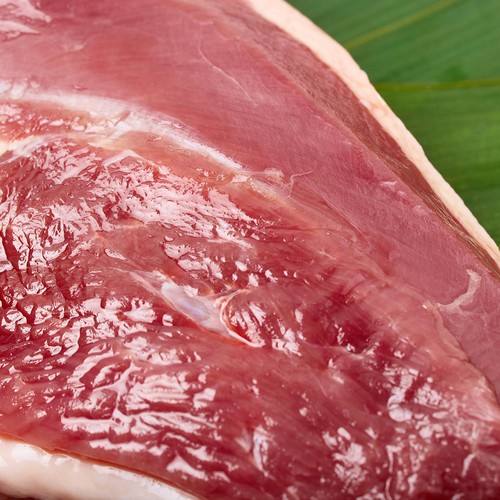 【冷凍】アマタケ 岩手で育てた絶品鴨 ステーキ用あい鴨むね肉 1枚 310g