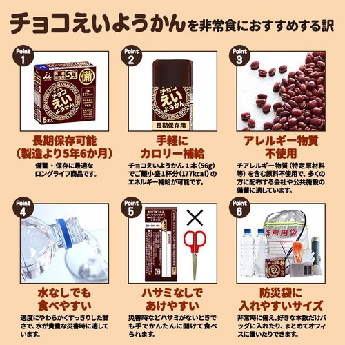 井村屋 チョコえいようかん 5本入