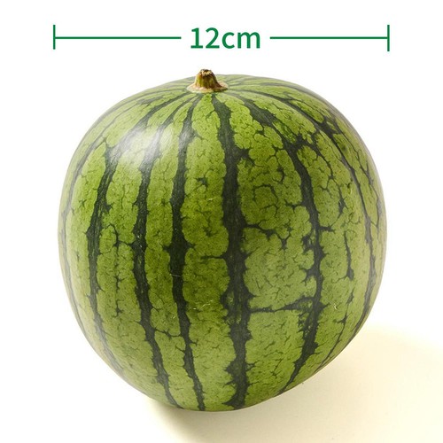 ［食べごろ+］山形県産 心祝のタネごと食べられるすいかピノガール 小さめ 1.2kg 1玉