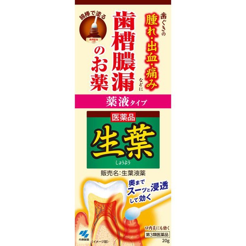 【第3類医薬品】生葉液薬 20g