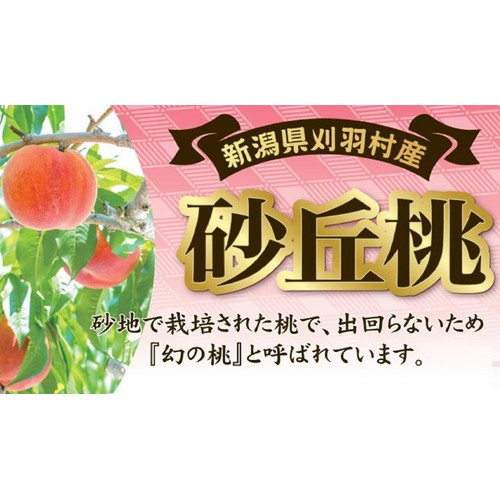 新潟県刈羽産 砂丘桃 3-5玉 1kg