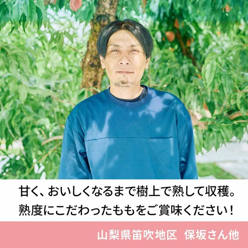 [食べごろ+] 山梨県産笛吹地区 保坂さんたちのおすすめもも 大玉 2個