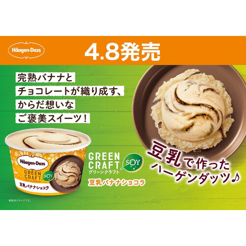 ハーゲンダッツ ミニカップ GREENCRAFT 豆乳バナナショコラ 110ml