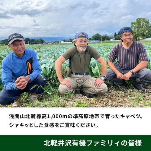 ［鮮度+］群馬県産 キャベツ 1個