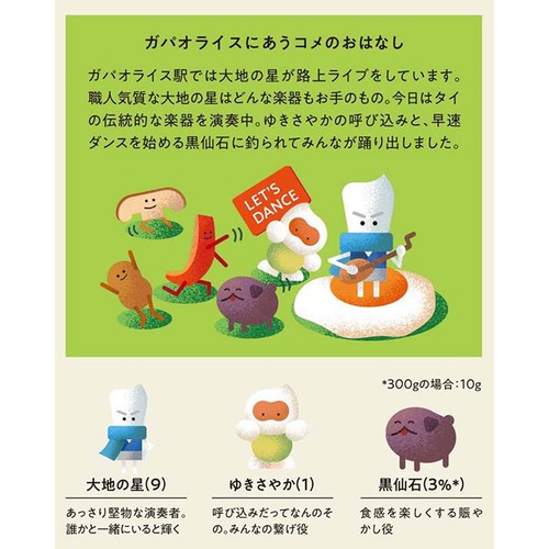 上森米穀店 ガパオライスに合うブレンド米  300g