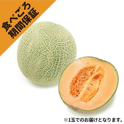 ［食べごろ+］青森県産 工藤さんのレノンメロン 大玉 1.1kg　1個