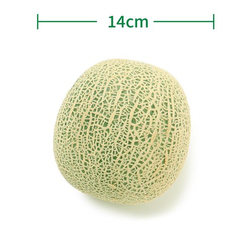 ［食べごろ+］青森県産 工藤さんのタカミメロン 大玉 1.1kg　1個