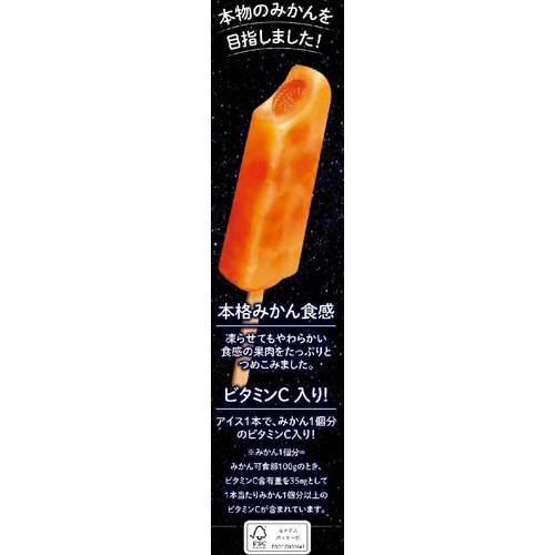 赤城乳業 ガツンと超みかん 58ml x 5本入