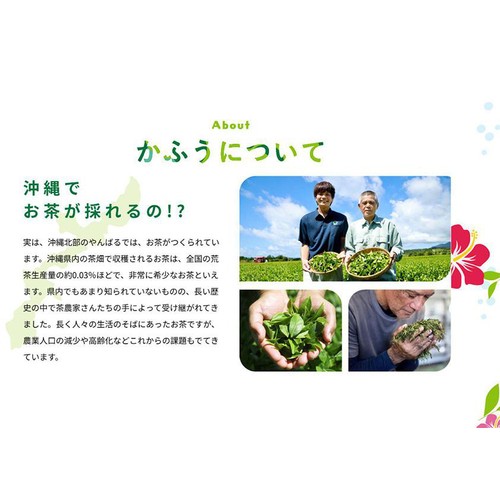 沖縄伊藤園 沖縄緑茶 かふう 525ml