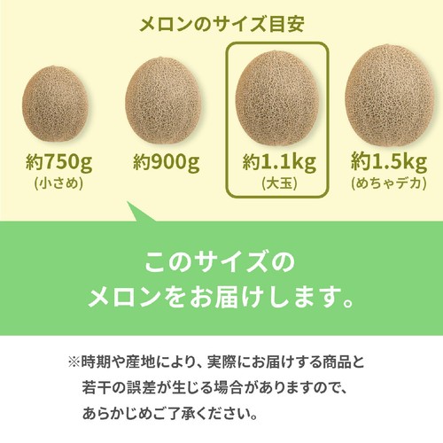［食べごろ+］山形県産 庄内砂丘メロン(赤肉) 大玉 1.1kg 1玉