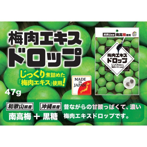 ユニマットリケン 梅肉エキスドロップ 47g Green Beans | グリーン